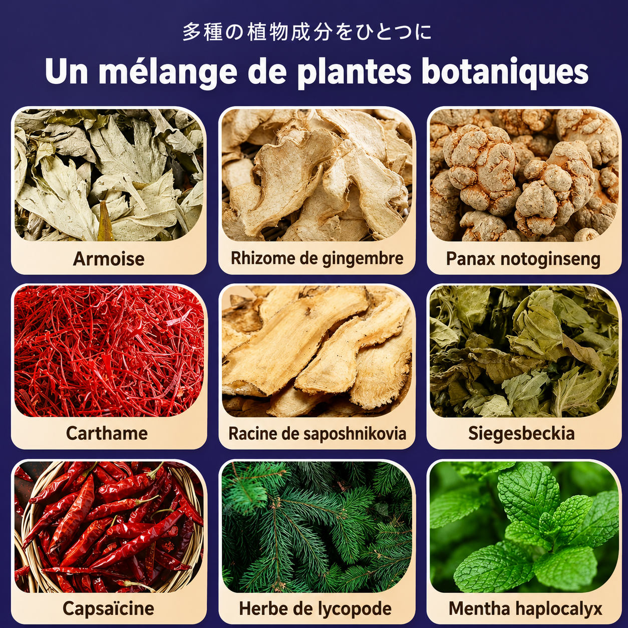 Application du patch